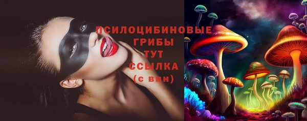 трава Магас
