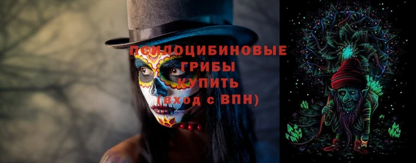 трава Магас