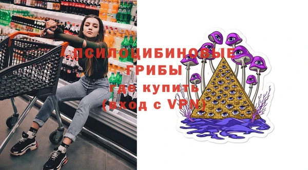 трава Магас