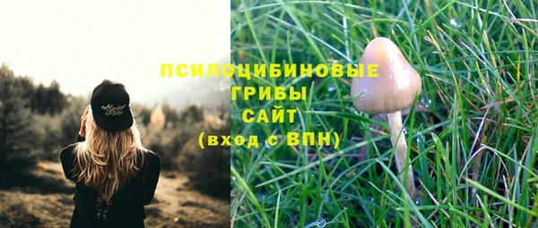 МДПВ Магадан