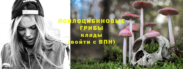 МДПВ Верея