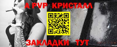 стафф Берёзовский