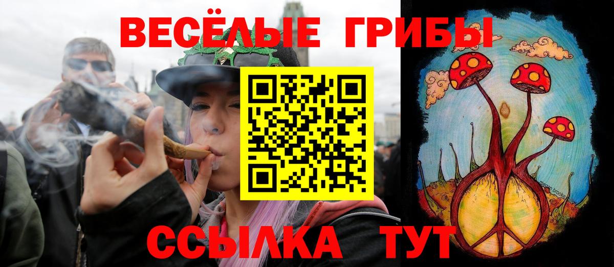 Псилоцибиновые грибы мухоморы Вичуга