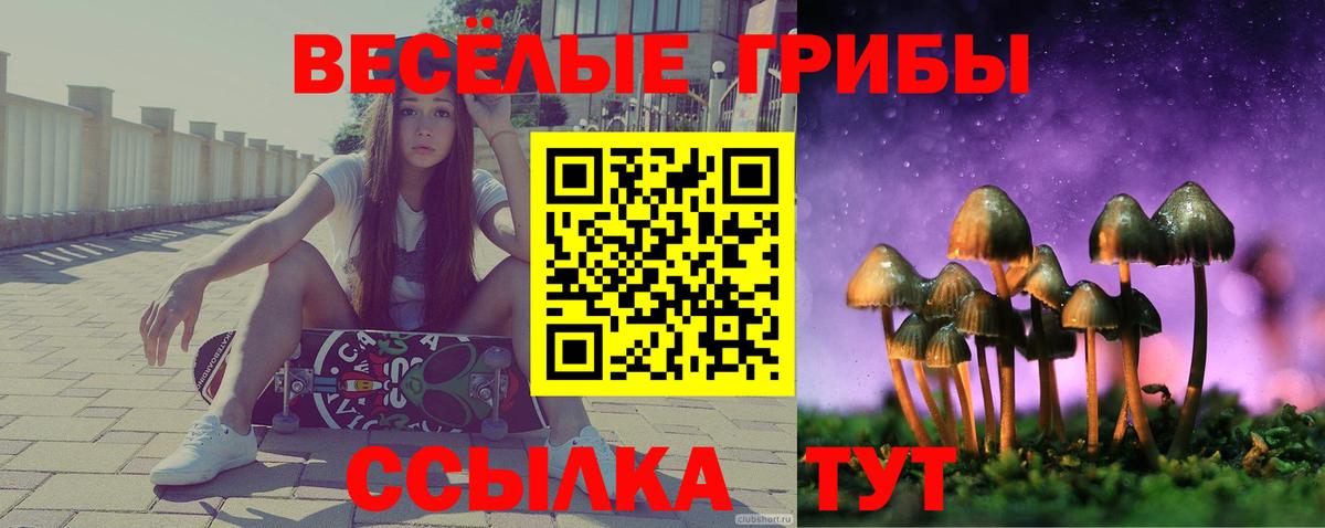 Вичуга  Галлюциногенные грибы мухоморы  Галлюциногенные грибы GOLDEN TEACHER  Вход с VPN 